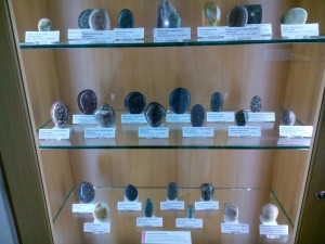 Fosiler och stenar en del kom från Sverige. Museet Helgoland